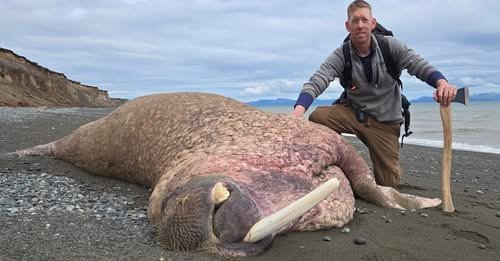 Luke Nichols Net Worth