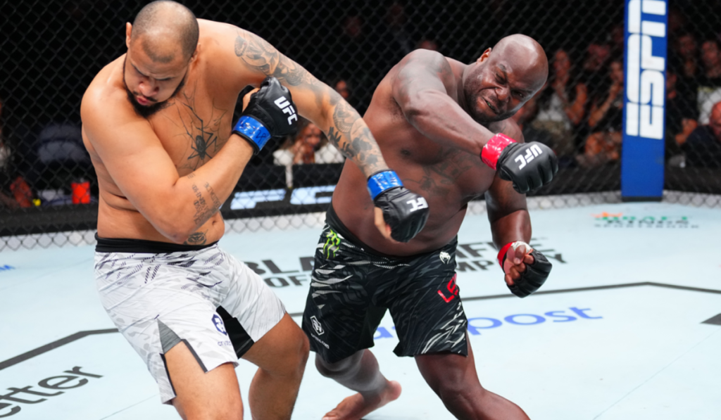 UFC Fight History (2014-2026)