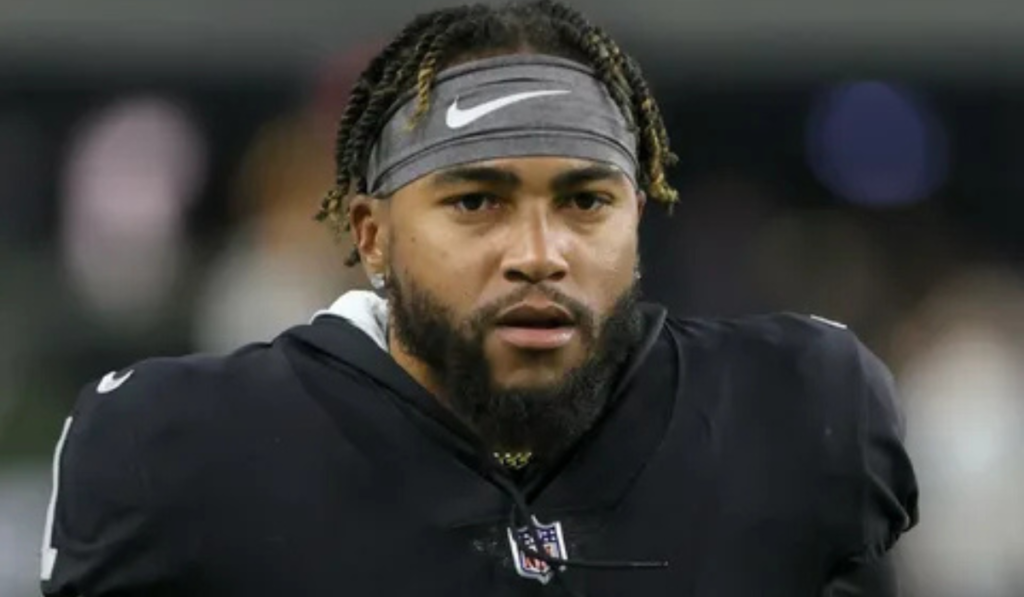 Portrait of DeSean Jackson highlighting his football career success