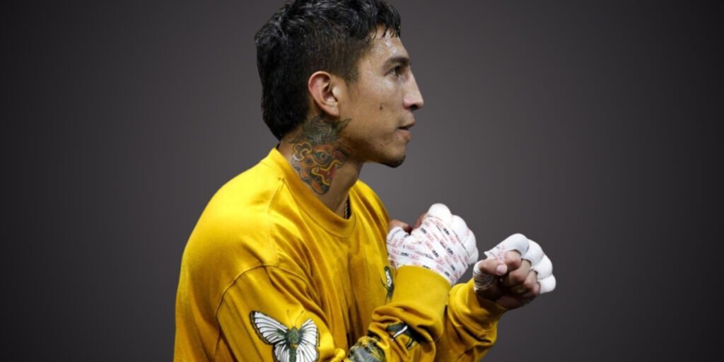 Mario Barrios Boxing career