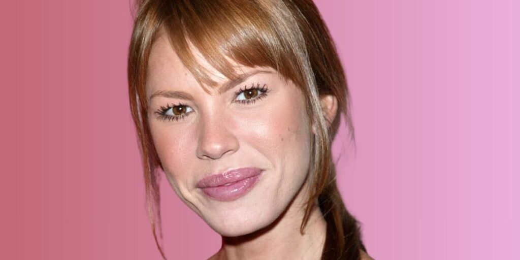 Nikki Cox Career